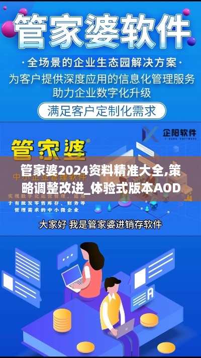 管家婆2024资料精准大全,策略调整改进_体验式版本AOD16.48