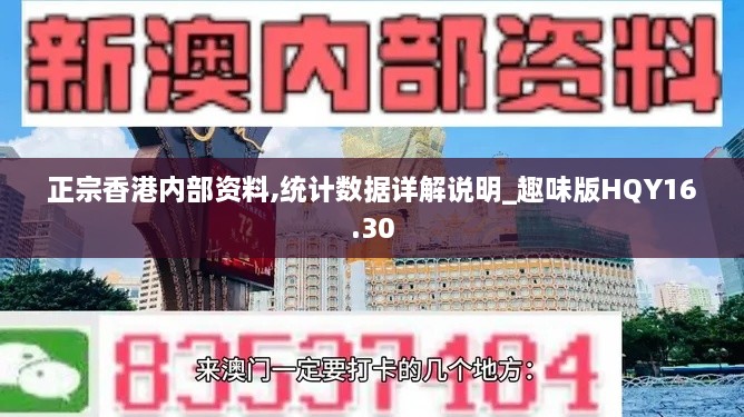 正宗香港内部资料,统计数据详解说明_趣味版HQY16.30