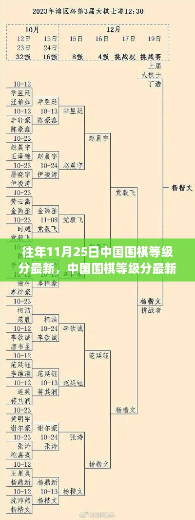 往年11月25日中国围棋等级分更新聚焦，最新排名与动态分析