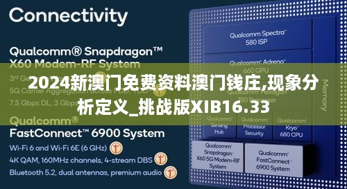 2024新澳门免费资料澳门钱庄,现象分析定义_挑战版XIB16.33