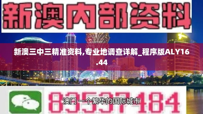 新澳三中三精准资料,专业地调查详解_程序版ALY16.44