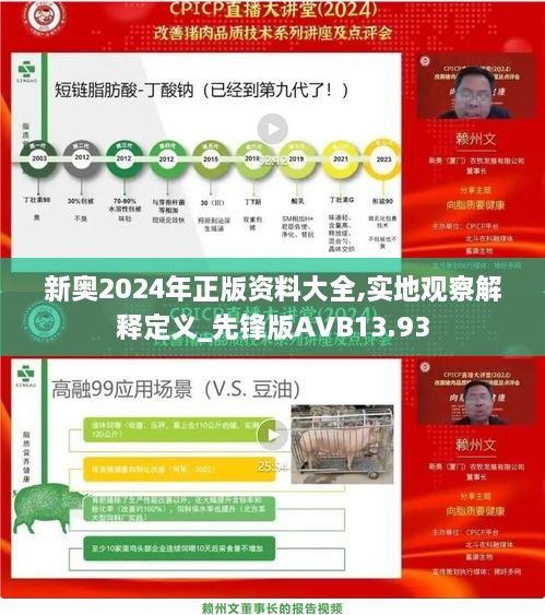 新奥2024年正版资料大全,实地观察解释定义_先锋版AVB13.93