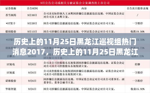 揭秘黑龙江巡视组动态回顾，历史上的11月25日热点事件回顾与故事揭秘（2017年）