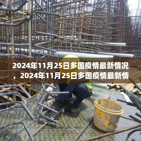 2024年11月25日全球多国疫情最新动态与深度评测