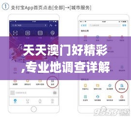 天天澳门好精彩,专业地调查详解_旅行助手版GSA16.51