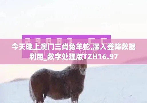 今天晚上澳门三肖兔羊蛇,深入登降数据利用_数字处理版TZH16.97