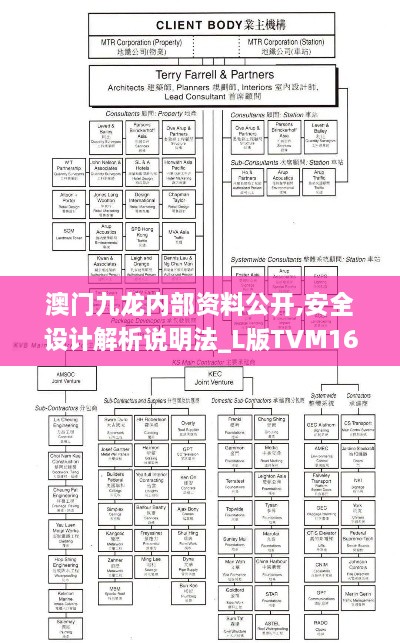 澳门九龙内部资料公开,安全设计解析说明法_L版TVM16.49