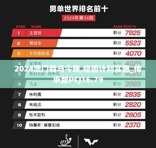 2024澳门特马今晚,稳固计划实施_传承版PCJ16.79