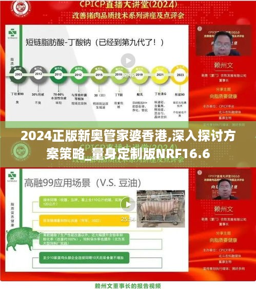 2024正版新奥管家婆香港,深入探讨方案策略_量身定制版NRF16.6