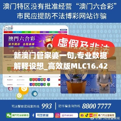 新澳门管家婆一句,专业数据解释设想_高效版MLC16.42