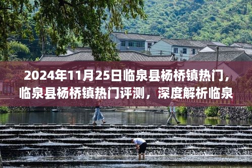 临泉县杨桥镇在2024年11月25日的独特魅力与优势深度解析及评测报告