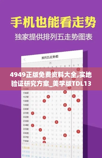 4949正版免费资料大全,实地验证研究方案_美学版TDL13.89