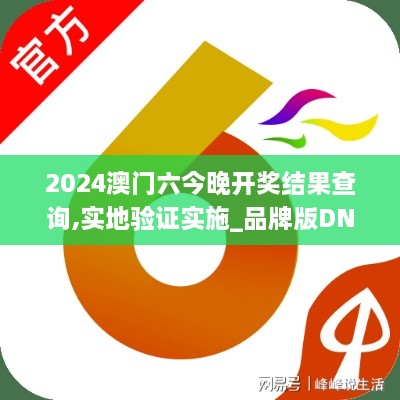 2024澳门六今晚开奖结果查询,实地验证实施_品牌版DNB16.33