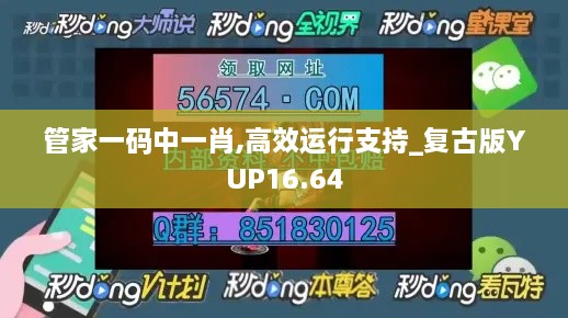 管家一码中一肖,高效运行支持_复古版YUP16.64