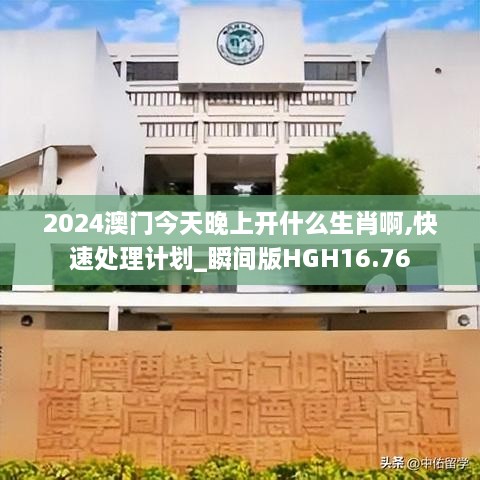 2024澳门今天晚上开什么生肖啊,快速处理计划_瞬间版HGH16.76