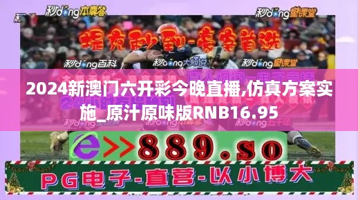 2024新澳门六开彩今晚直播,仿真方案实施_原汁原味版RNB16.95