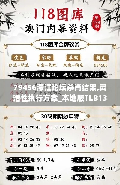 79456濠江论坛杀肖结果,灵活性执行方案_本地版TLB13.87