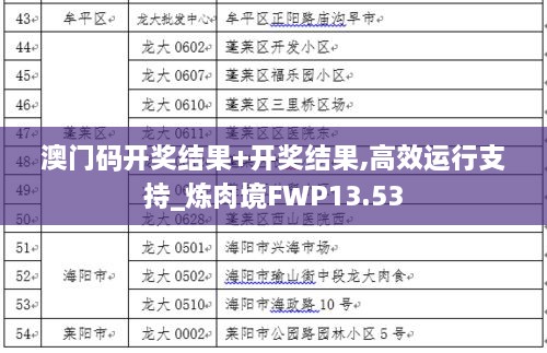 澳门码开奖结果+开奖结果,高效运行支持_炼肉境FWP13.53