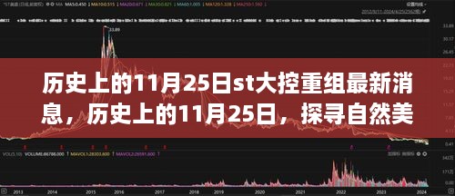 探寻自然美景之旅，最新重组消息下的启程，寻找内心的宁静之地（历史上的11月25日）