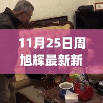 揭秘周旭辉最新动态与成功案例，11月25日新闻速递