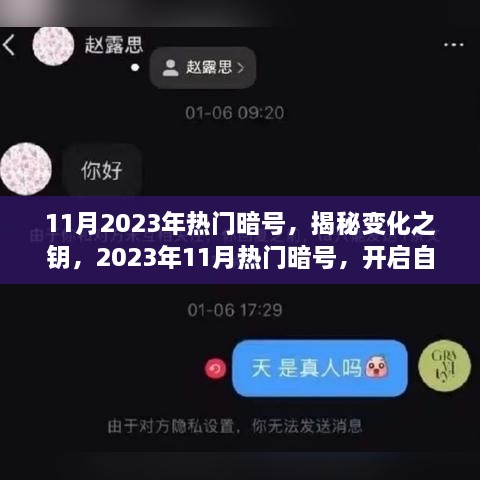 揭秘变化之钥，2023年11月热门暗号，开启自信与成就之门的新篇章