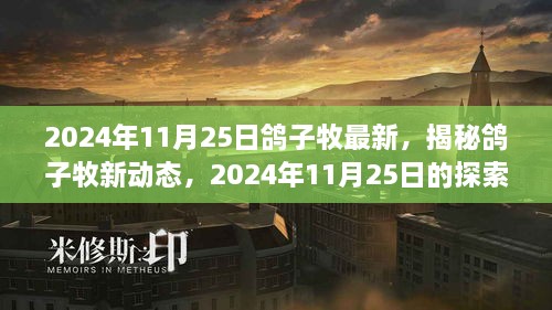 揭秘鸽子牧新动态，探索之旅在行动，最新资讯尽在2024年11月25日