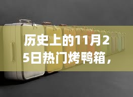 历史上的11月25日，热门烤鸭箱制作攻略——初学者与进阶用户通用全攻略