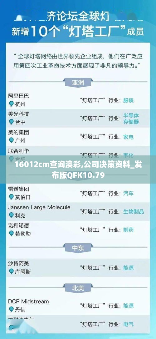 16012cm查询澳彩,公司决策资料_发布版QFK10.79