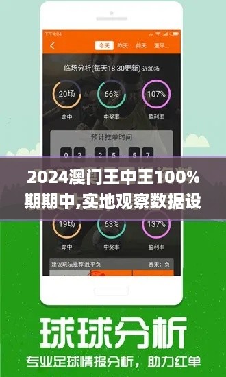 2024澳门王中王100%期期中,实地观察数据设计_随身版OJQ19.19