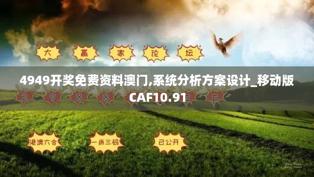 4949开奖免费资料澳门,系统分析方案设计_移动版CAF10.91