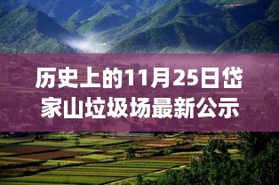 岱家山垃圾场新生，科技重塑环保，历史见证变革的11月25日