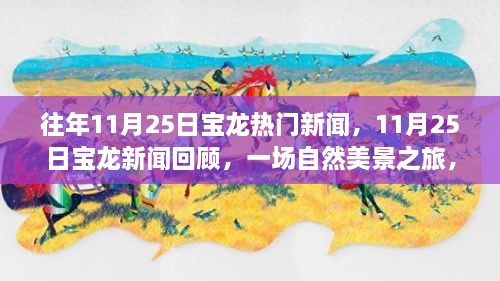 11月25日宝龙新闻回顾，自然美景之旅的心灵港湾探寻