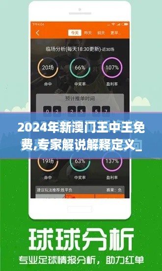 2024年新澳门王中王免费,专家解说解释定义_黑科技版ZFH19.96