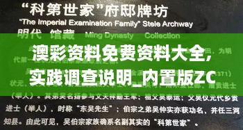 澳彩资料免费资料大全,实践调查说明_内置版ZCB19.52