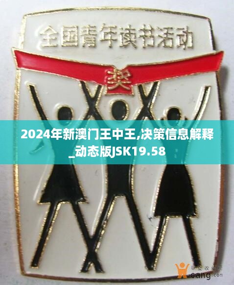 2024年新澳门王中王,决策信息解释_动态版JSK19.58