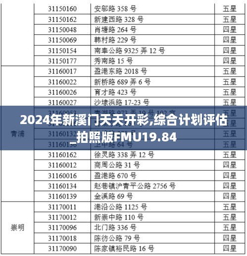 2024年新溪门天天开彩,综合计划评估_拍照版FMU19.84