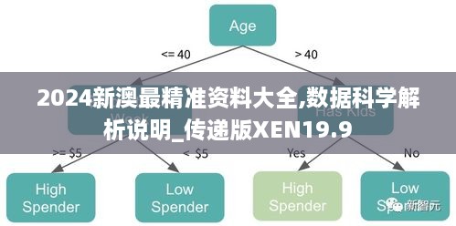 2024新澳最精准资料大全,数据科学解析说明_传递版XEN19.9