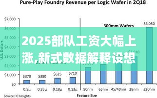 2025部队工资大幅上涨,新式数据解释设想_艺术版IVB10.61