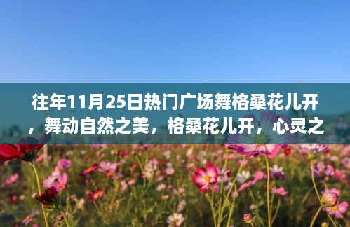 格桑花儿舞动自然之美，广场舞盛宴启程心灵之旅