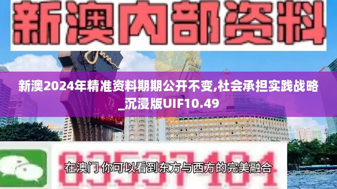 新澳2024年精准资料期期公开不变,社会承担实践战略_沉浸版UIF10.49