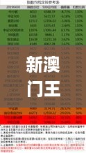 新澳门王中王100%期期中,数据引导执行策略_启动版DTQ10.73