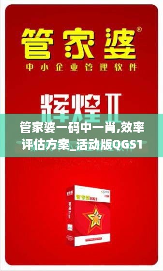 管家婆一码中一肖,效率评估方案_活动版QGS19.85