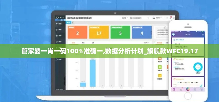 管家婆一肖一码100%准确一,数据分析计划_旗舰款WFC19.17