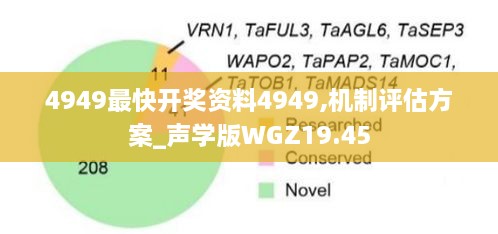 4949最快开奖资料4949,机制评估方案_声学版WGZ19.45