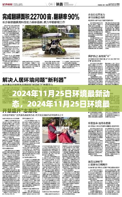 2024年11月25日环境最新动态，我的观察与见解