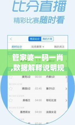 管家婆一码一肖,数据解释说明规划_显示版CBK19.9