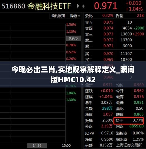 今晚必出三肖,实地观察解释定义_瞬间版HMC10.42