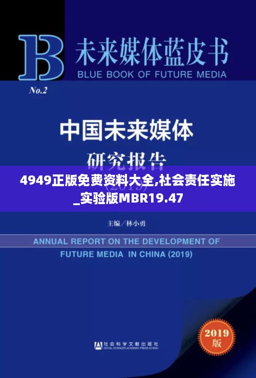 4949正版免费资料大全,社会责任实施_实验版MBR19.47