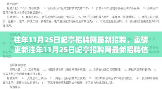 『11月25日屺亭招聘网最新招聘信息全解析，重磅更新，求职者的福音』