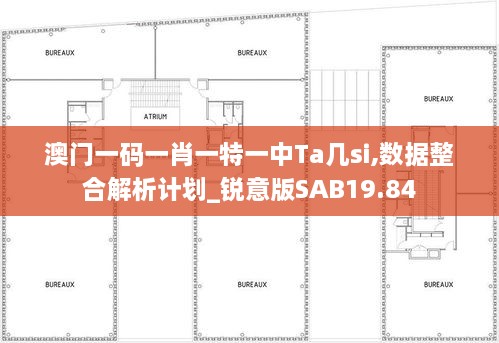 澳门一码一肖一特一中Ta几si,数据整合解析计划_锐意版SAB19.84